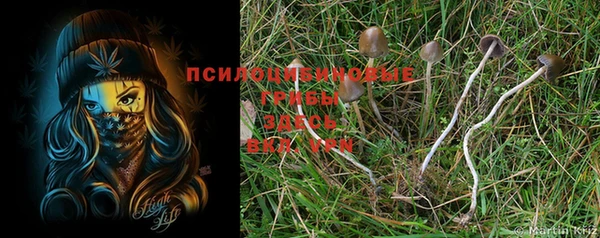 дистиллят марихуана Баксан